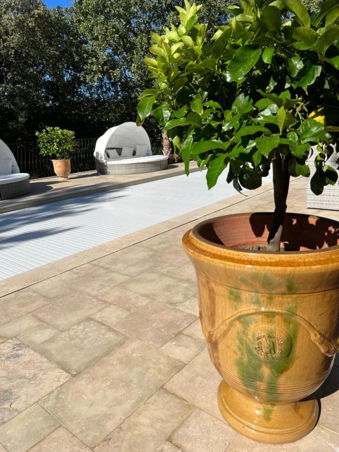Bed and Breakfast La Casa Dei Sogni Flayosc Zewnętrze zdjęcie